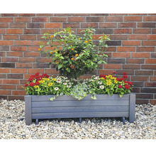 Blumenkasten Pflanzkasten Romantica promadino Holz 78 x 38 x 34 cm grau