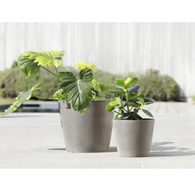 Zwei graue Blumentöpfe mit Pflanzen