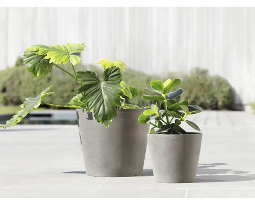 Zwei graue Blumentöpfe mit Pflanzen