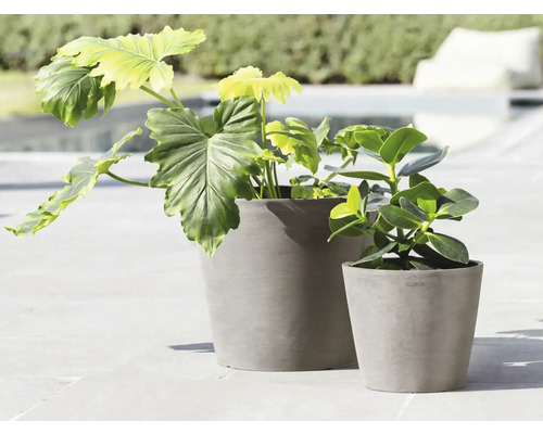 Zwei graue Pflanzgefäße mit grünen Pflanzen auf einer Terrasse.