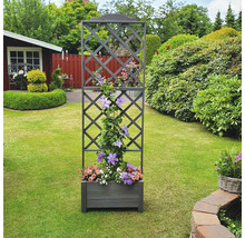 Blumenkasten mit Rankgitter auf einer Rasenfläche im Garten.