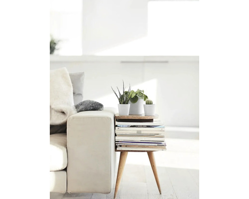 Helle Inneneinrichtung mit Sofa und Beistelltisch aus Büchern, darauf Pflanzen in Töpfen