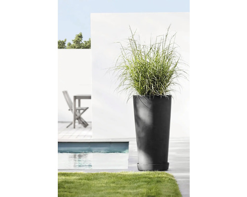 Hoher Pflanztopf mit Ziergras neben Pool und Gartenmöbeln