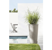 Hoher Pflanzkübel mit Ziergras in Gartenszene