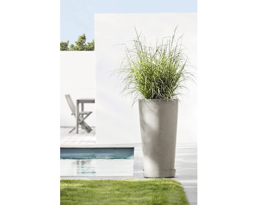 Hoher Pflanzkübel mit Ziergras in Gartenszene