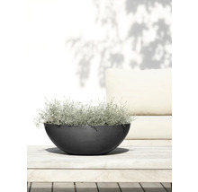 Halbrunde Pflanzschale mit Bepflanzung auf einem Holztisch