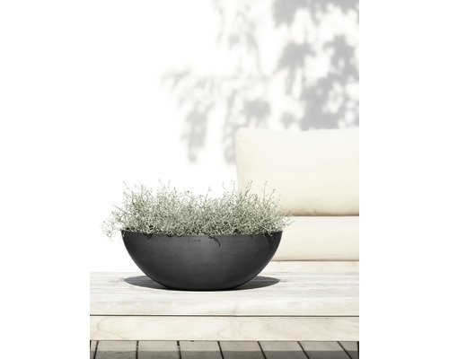 Halbrunde Pflanzschale mit Bepflanzung auf einem Holztisch