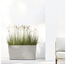 Rechteckiger Pflanzkasten mit Ziergras