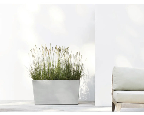 Rechteckiger Pflanzkasten mit Ziergras neben einem Sessel