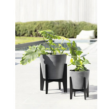 Zwei graue Blumentöpfe mit Pflanzen auf schwarzen Pflanzenständern im Freien.