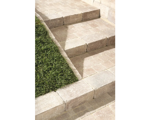 Steinstufen führen durch einen Garten.