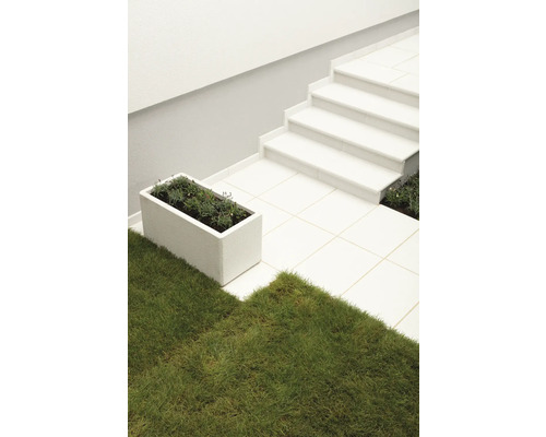 Treppe mit Fliesen, Rasenfläche und bepflanztem Blumenkasten.