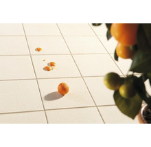 Quadratische Terrassenplatten mit Mandarine und Mandarinenschalen