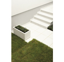 Außenaufnahme mit Treppe, Pflanzkasten und Rasenfläche
