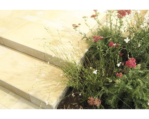 Außenbereich mit Steintreppe und Bepflanzung