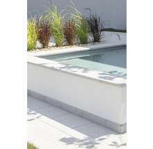 Swimmingpool mit Bepflanzung im Gartenbereich