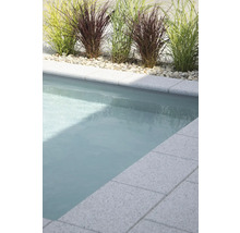 Swimmingpool mit Randsteinen und dekorativen Gräsern