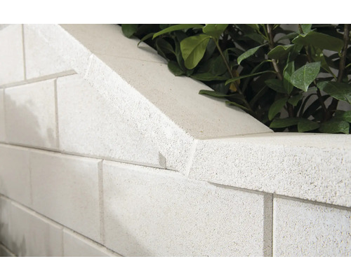 Detailaufnahme einer Gartenmauer aus Betonsteinen mit Pflanzen