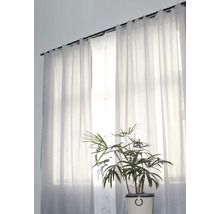 Fenster mit transparenten Gardinen und Zimmerpflanze