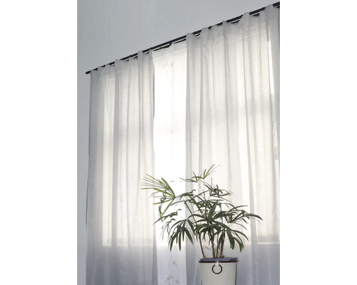 Fenster mit transparenten Vorhängen und Zimmerpflanze