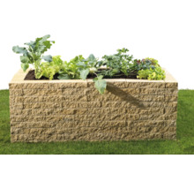 Hochbeet aus Stein mit Bepflanzung im Garten