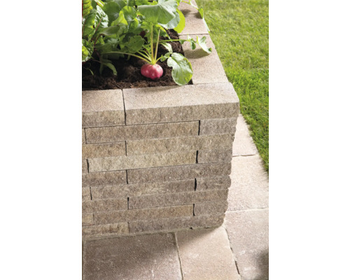 Hochbeet aus Stein mit Radieschenpflanze