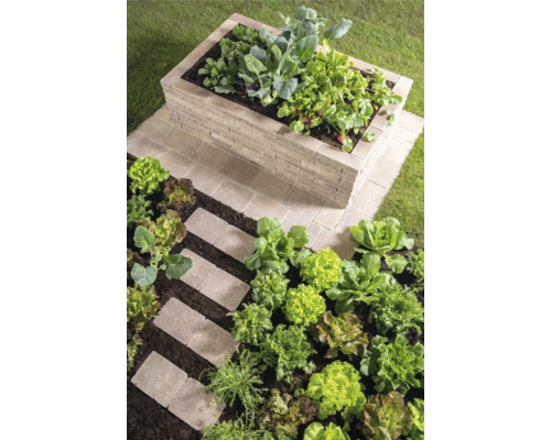 Hochbeet aus Stein mit Gemüse und Salatpflanzen im Garten