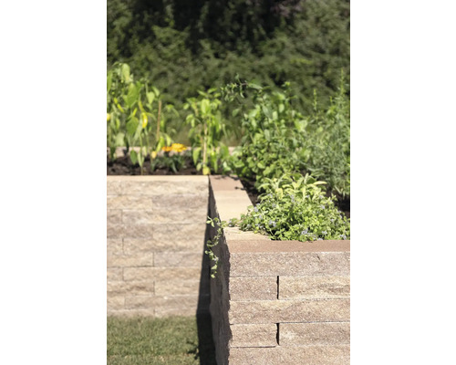 Hochbeet mit Pflanzen im Garten