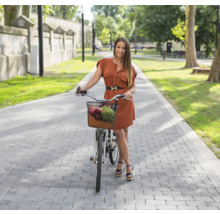 Frau mit Fahrrad und Korb voller Lebensmittel auf einem Pflasterweg.