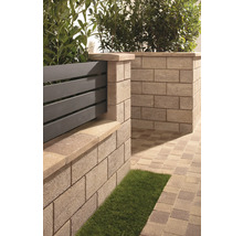 Gartenweg mit Mauer aus Betonsteinen und Zaunelementen