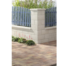 Szene mit Zaun, Mauer und Pflastersteinen im Garten