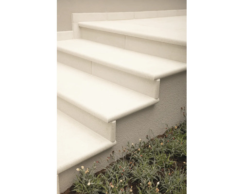 Treppe aus Stein mit Pflanzen