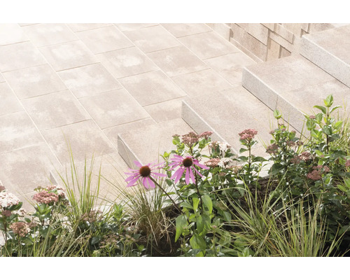 Außenaufnahme von Betonpflastersteinen und Betontreppen mit Pflanzen