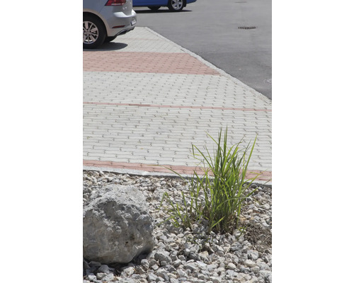 Pflastersteine mit Zierkies, einem Stein und Gras