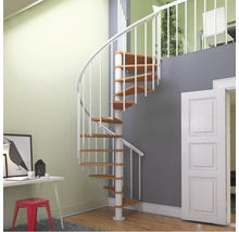 Raumszene mit einer Wendeltreppe aus Holz und Metall, die in eine obere Etage führt.