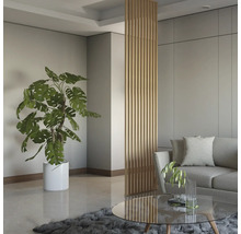 Wohnzimmer mit Pflanze, Raumteiler und Sofa