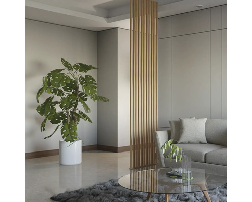 Wohnzimmer mit Pflanze, Raumteiler und Sofa