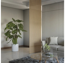 Wohnzimmer mit Raumteiler aus Holz, Sofa und Zimmerpflanze