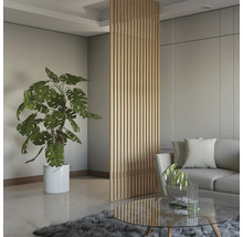 Wohnzimmer mit Holz Raumteiler, Sofa und Zimmerpflanze.