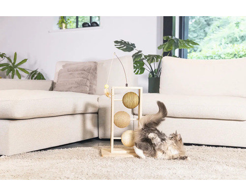 Katze spielt mit Kratzbaum im Wohnzimmer.