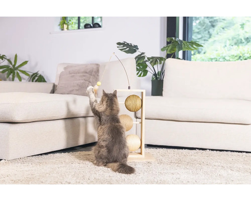 Katze spielt mit einem Katzenspielzeug mit drei Bällen und einer Angel in einem Wohnzimmer.