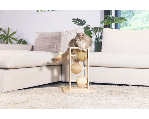 Katze auf einem Kratzbaum mit Spielzeugangel im Wohnzimmer