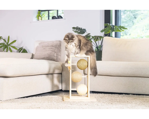 Katze spielt mit einem Kratzbaum im Wohnzimmer