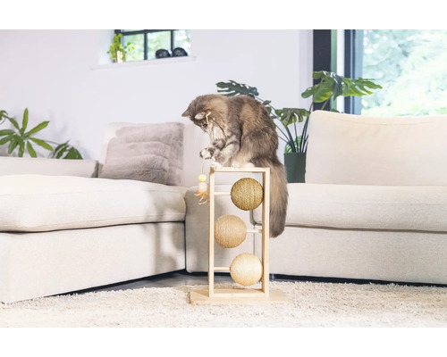 Katze spielt mit einem Kratzbaum mit drei Bällen in einem Wohnzimmer