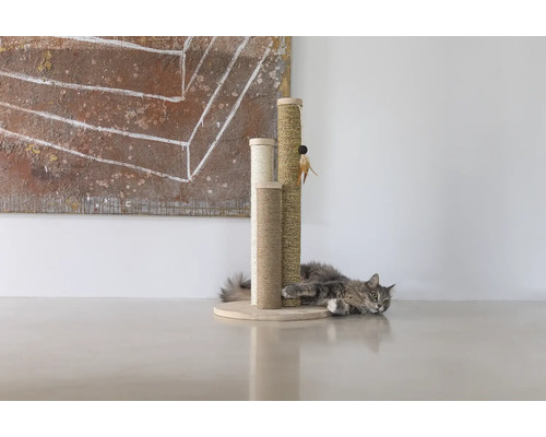 Katze ruht sich an einem Kratzbaum mit Sisal aus.