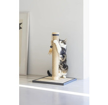 Katze kratzt an Kratzbaum mit Spielzeug
