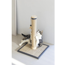 Katze benutzt einen Kratzbaum mit Sisalstamm und Spielzeug
