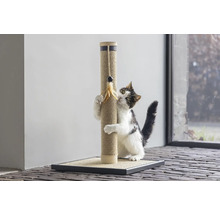 Katze kratzt an einem Kratzbaum mit Spielzeug