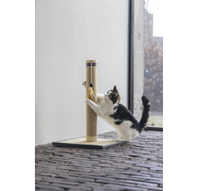 Katze kratzt an einem Kratzbaum mit Spielzeug