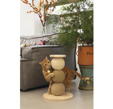Katze spielt mit einem Kratzbaum im Wohnzimmer.